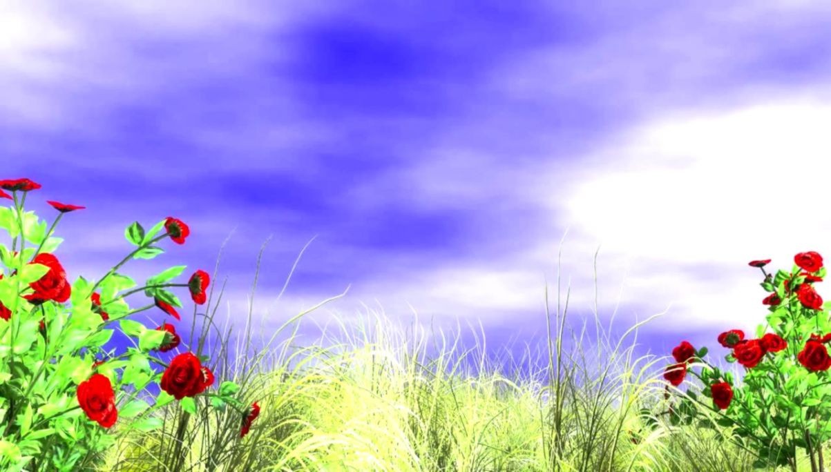 Background Images Hd 1080p Free Download - HD Wallpaper 