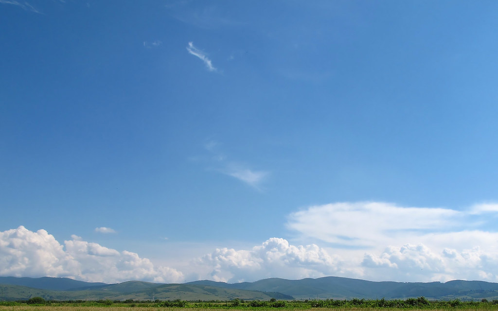 Grassland - HD Wallpaper 