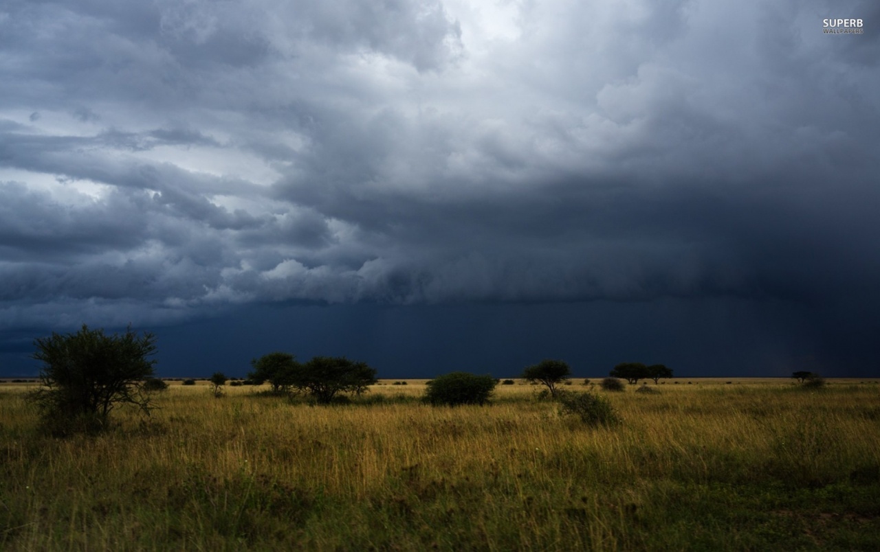 Dark Storm Clouds Trees Field Wallpapers - Dark Storm Clouds Landscape - HD Wallpaper 