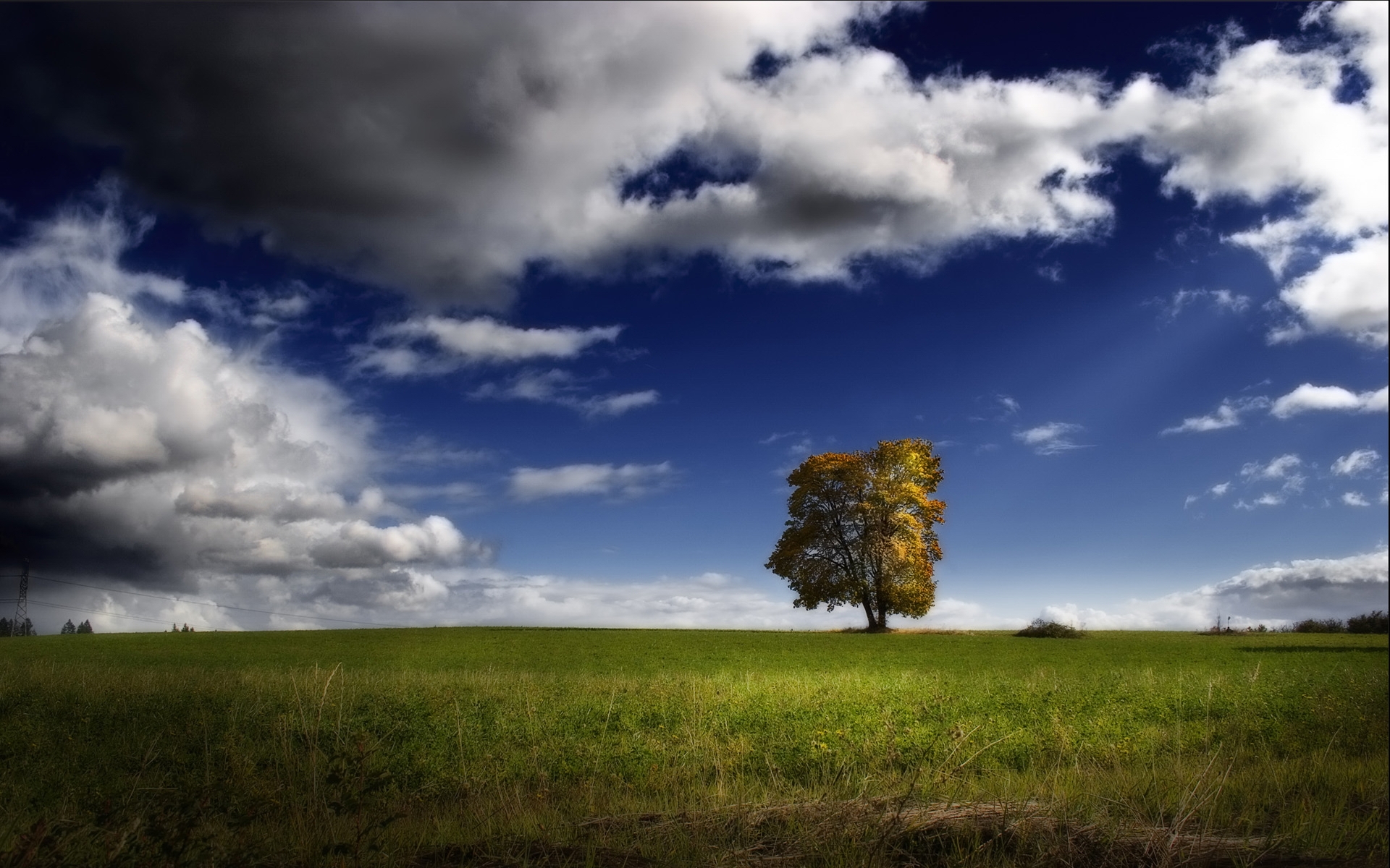 Lonely Tree Storm Clouds Wallpaper - Troja Castle - HD Wallpaper 