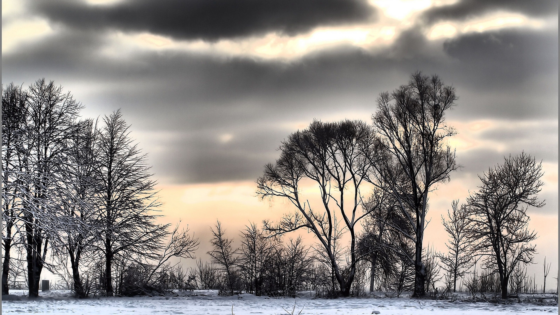 Dark Clouds And Winter Trees - Winter Trees Clouds - HD Wallpaper 