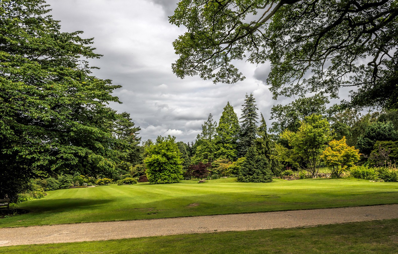 Photo Wallpaper Greens, Grass, Clouds, Trees, Park, - Lawn - HD Wallpaper 