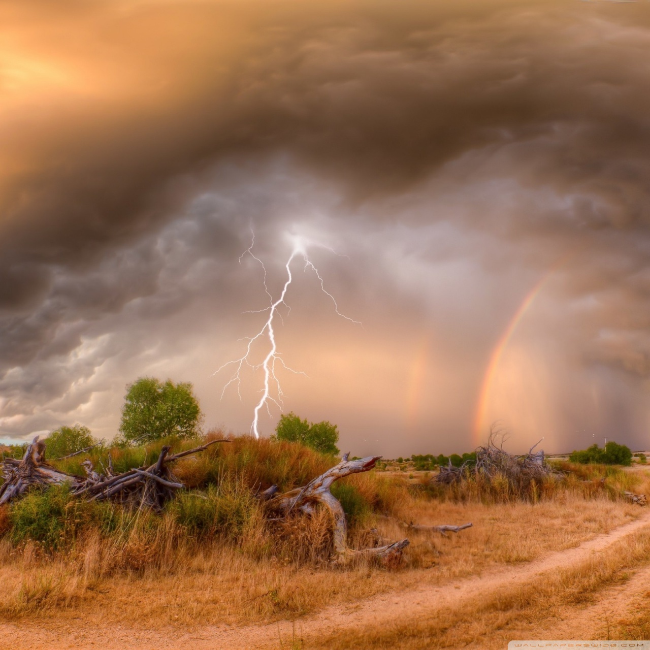 Prescott Monsoon - HD Wallpaper 