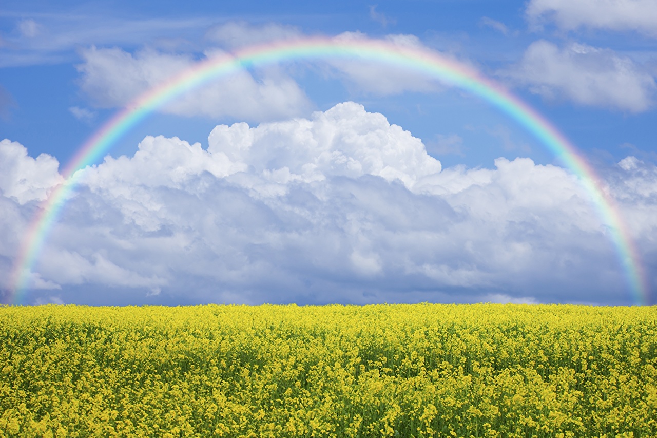 Sky Rainbow - HD Wallpaper 