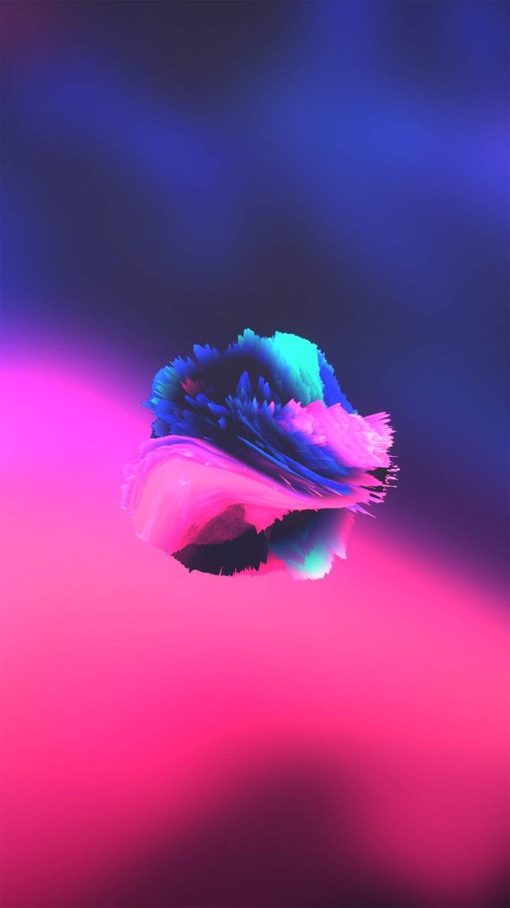 Macro Photography - HD Wallpaper 