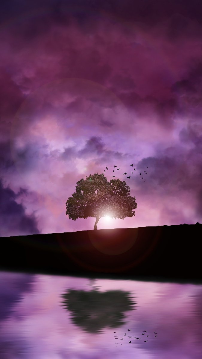 2019 Qhd - HD Wallpaper 