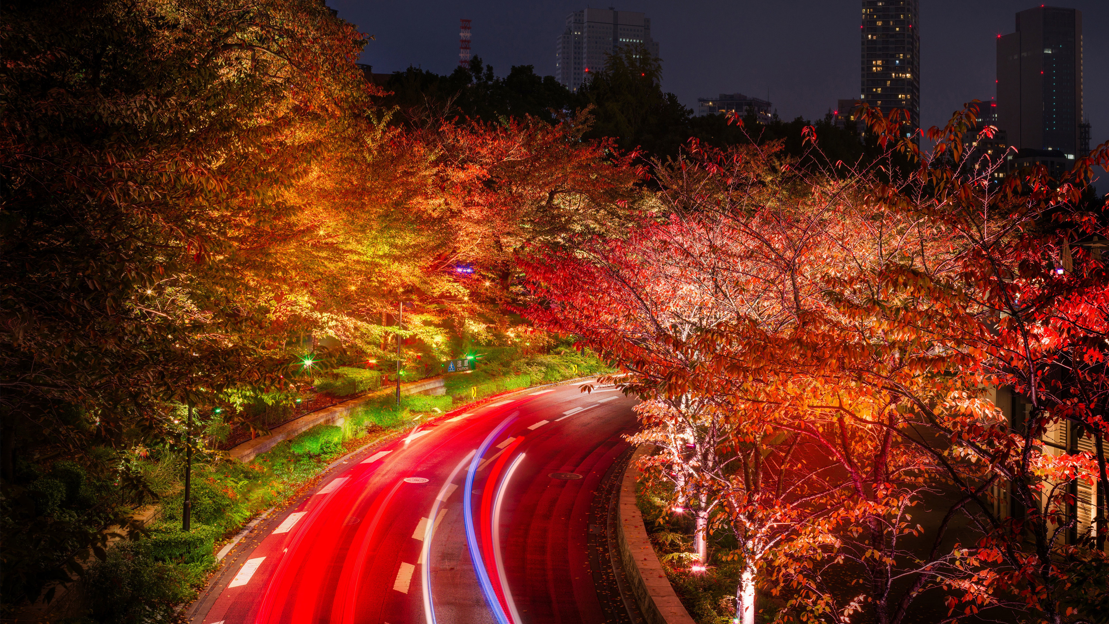 Japan Tokyo Roads Autumn Trees Night 4k - Autumn Wallpapers 4k - HD Wallpaper 