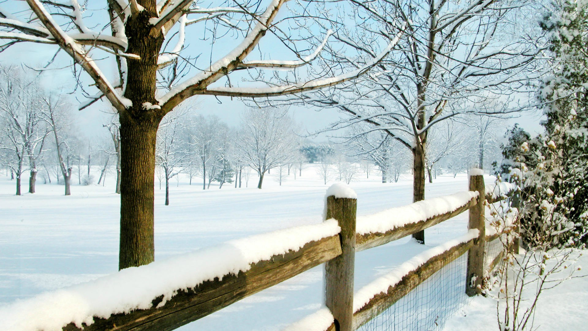 Snowy Fence - HD Wallpaper 