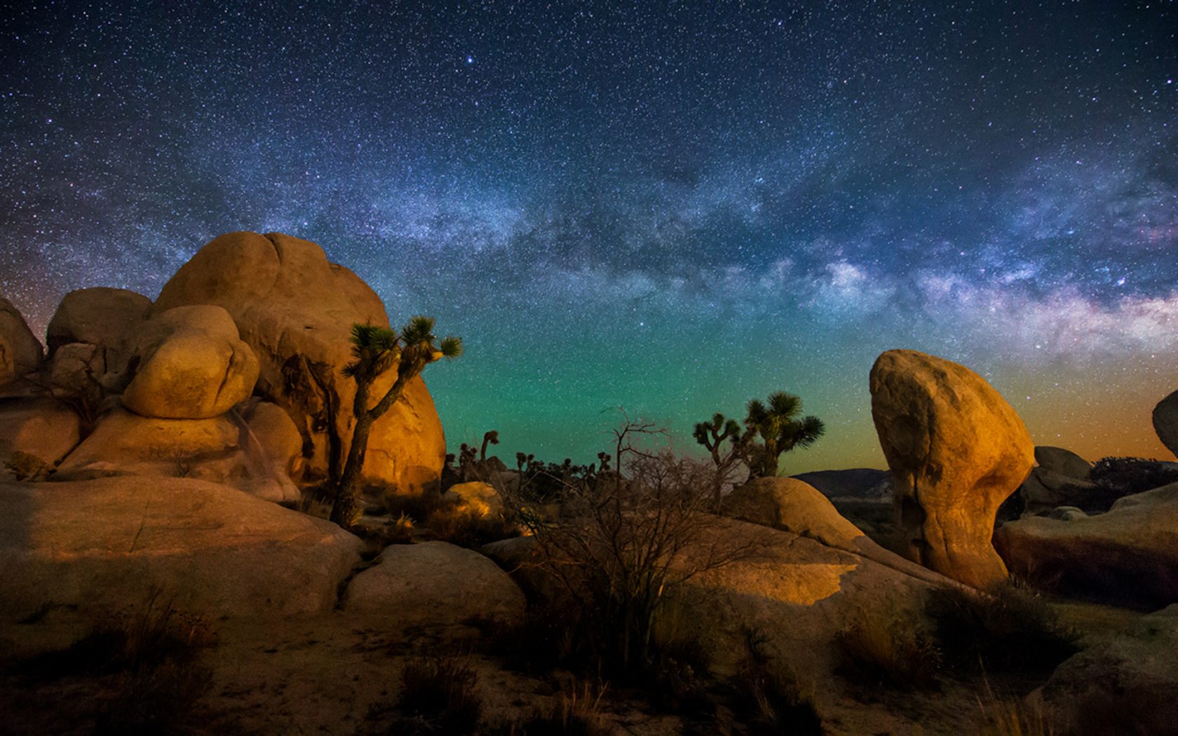 Joshua Tree National Park Usa - HD Wallpaper 