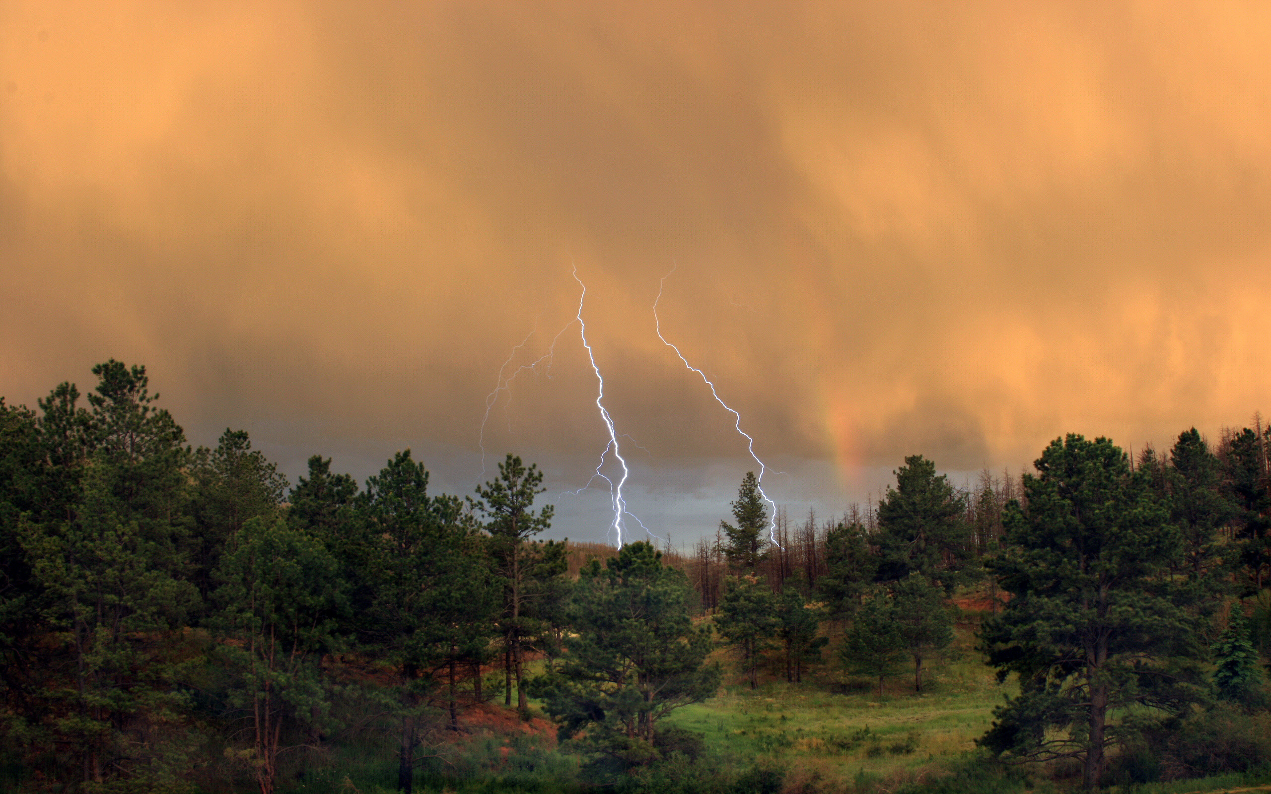 Light, Storm, Mountain, Rain, Clouds, Sky, Trees - Lightning Strike In Forest - HD Wallpaper 
