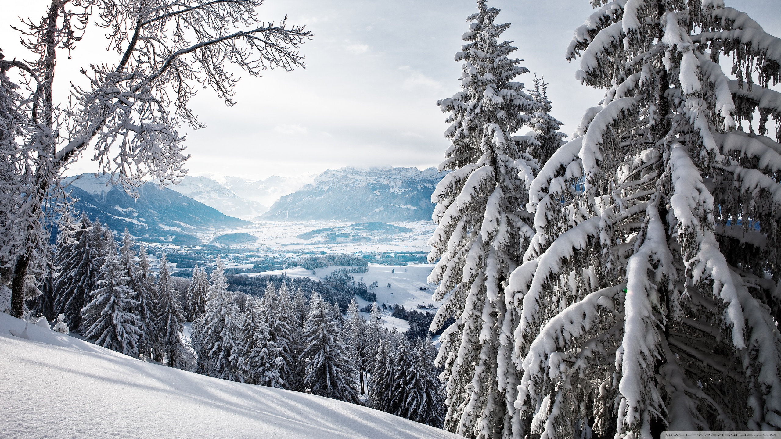 Kindness Is Like Snow It Beautifies Everything - HD Wallpaper 