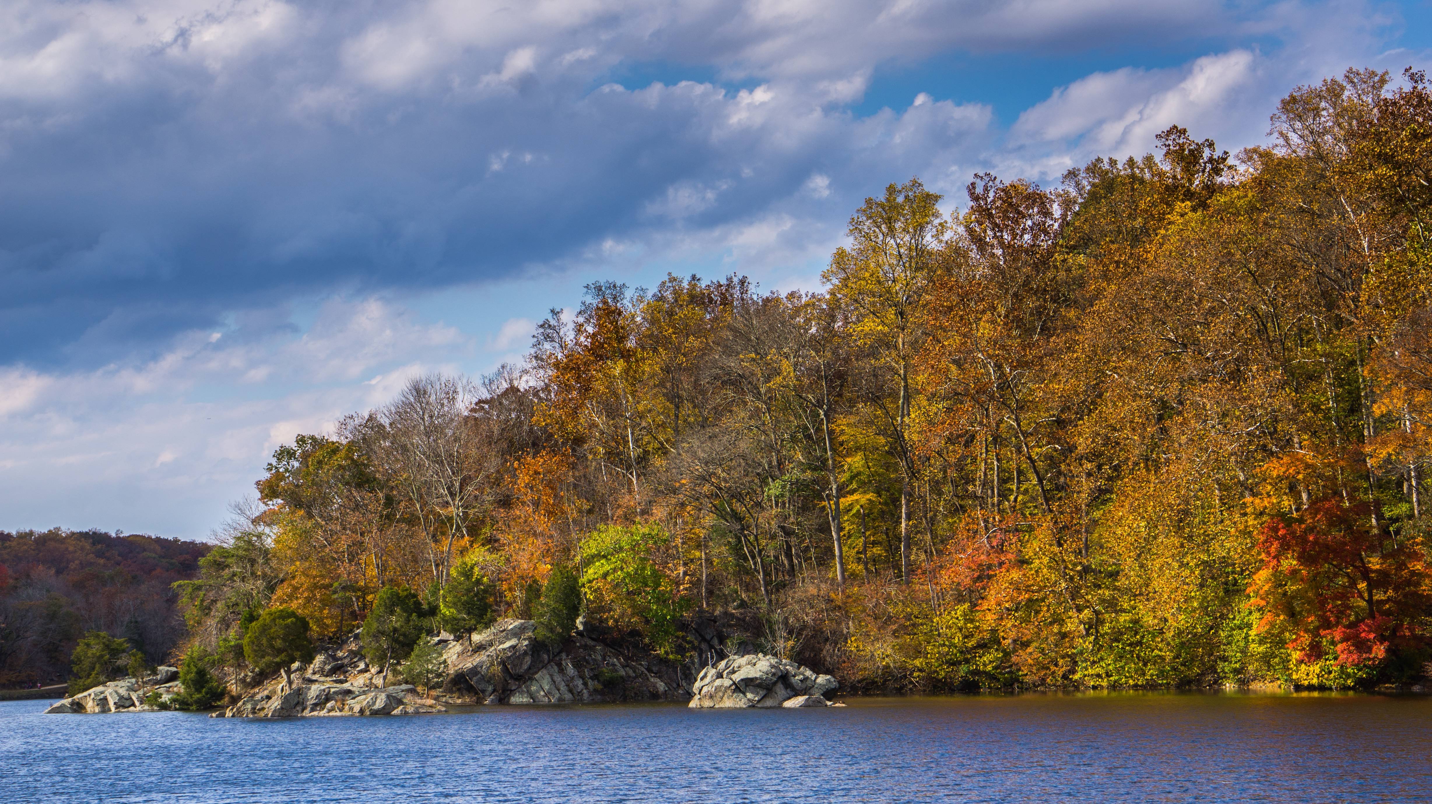 Autumn Trees Wallpaper - Loch - HD Wallpaper 