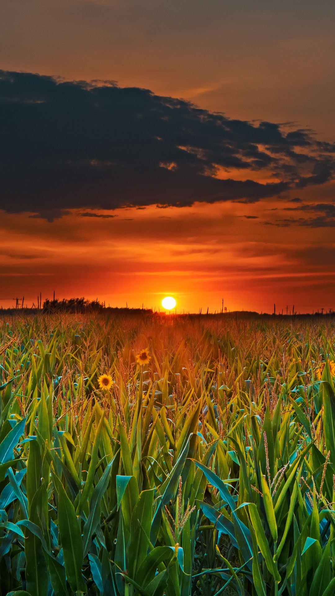 Field Sunset Clouds Wallpaper - God Will Not Judge Us On Our Earthly Possessions And - HD Wallpaper 