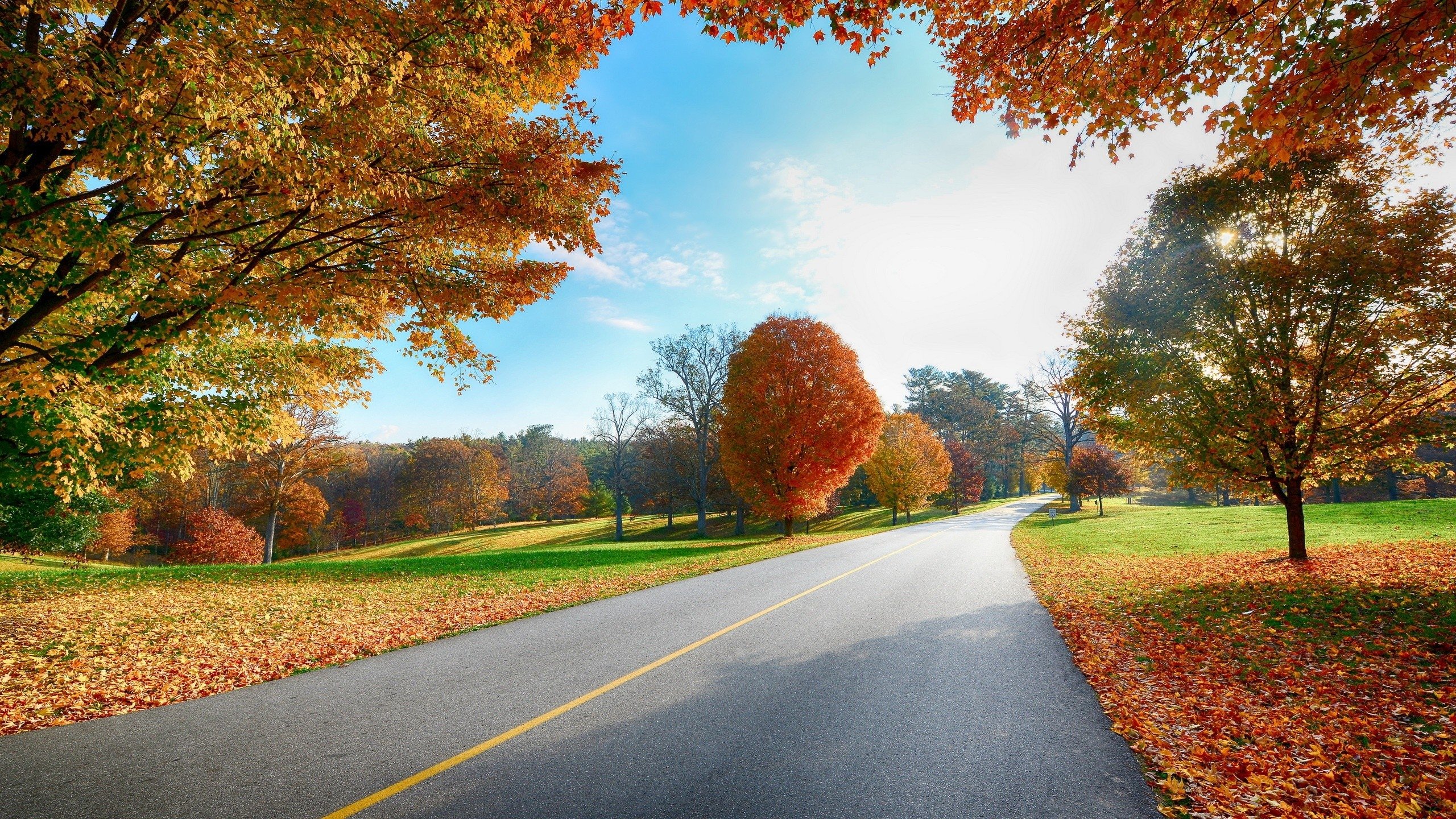 Road Markings Autumn Trees - Scenery Image Download Hd - HD Wallpaper 