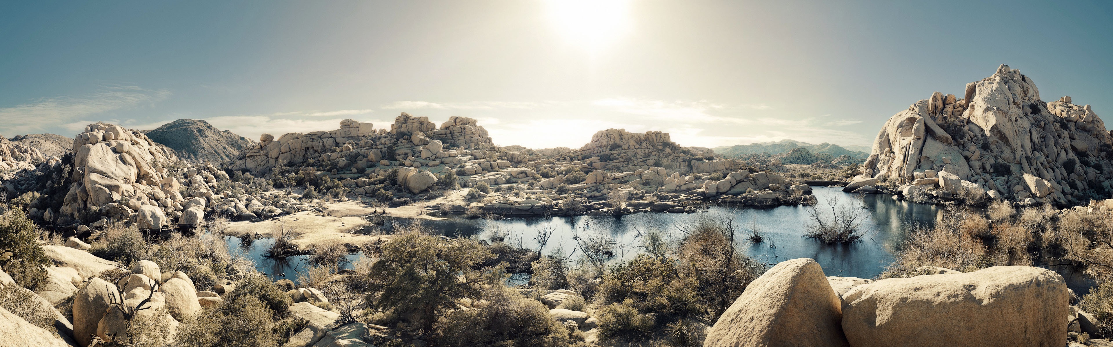 Wallpaper Mojave Desert, Lake, Grass, Rocks, Joshua - Desert Wallpaper California - HD Wallpaper 