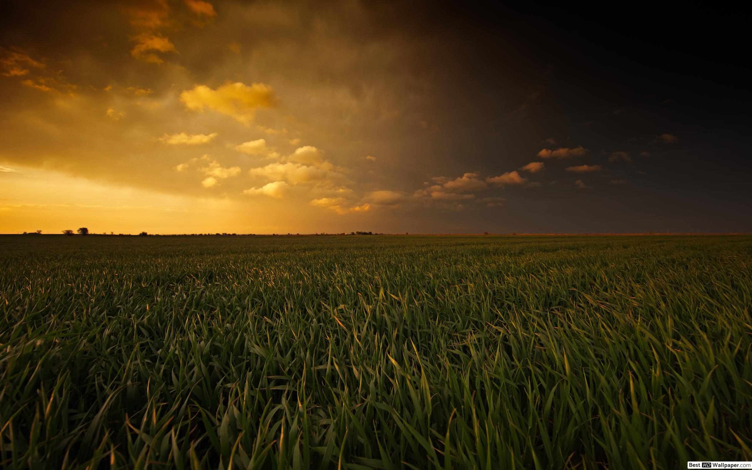 Background 4k - HD Wallpaper 