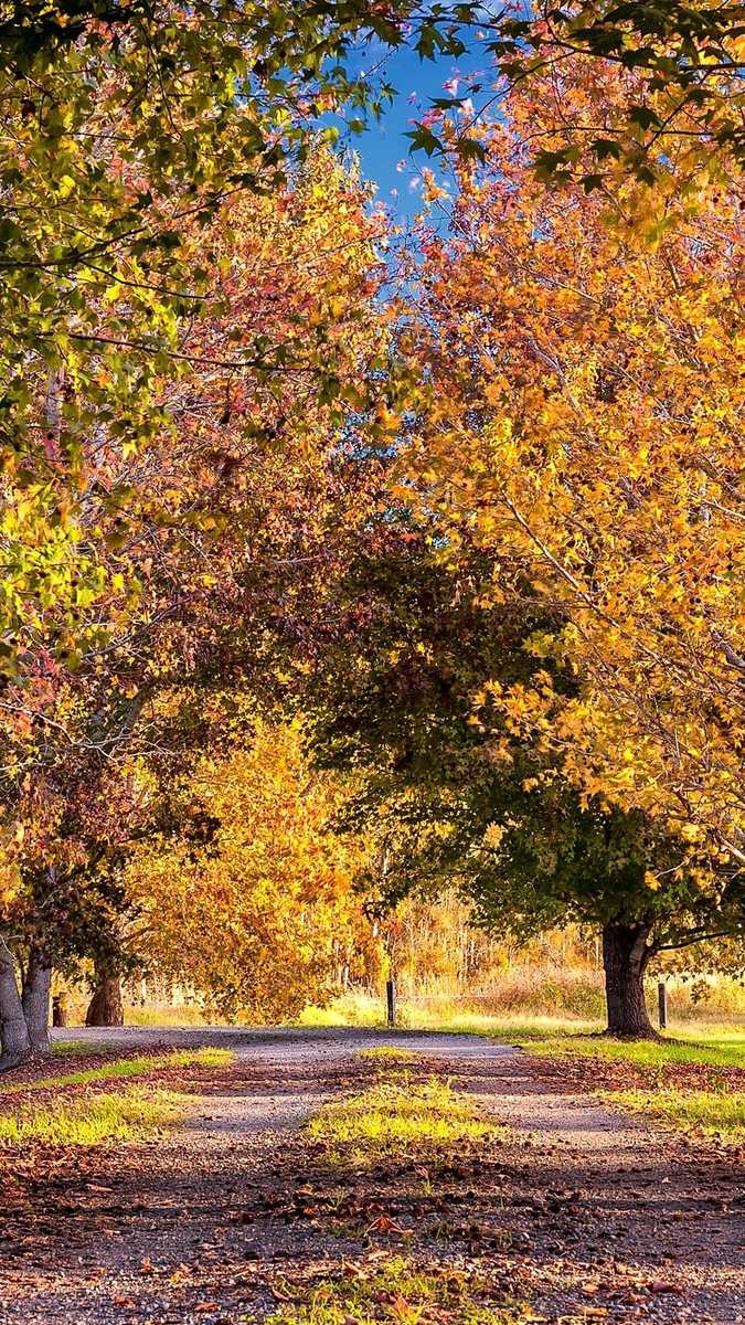 Autumn - HD Wallpaper 