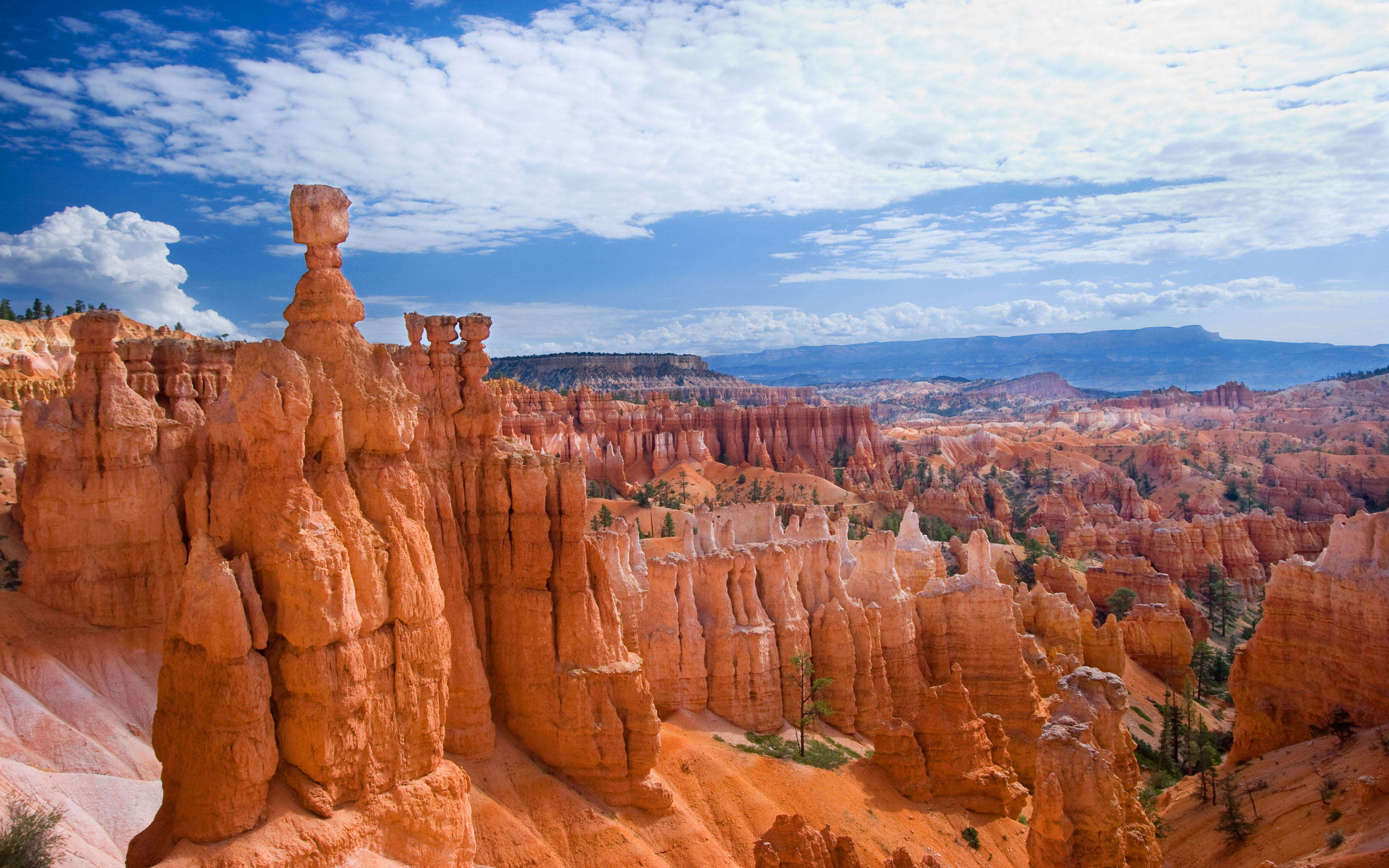 Bryce Canyon National Park - HD Wallpaper 