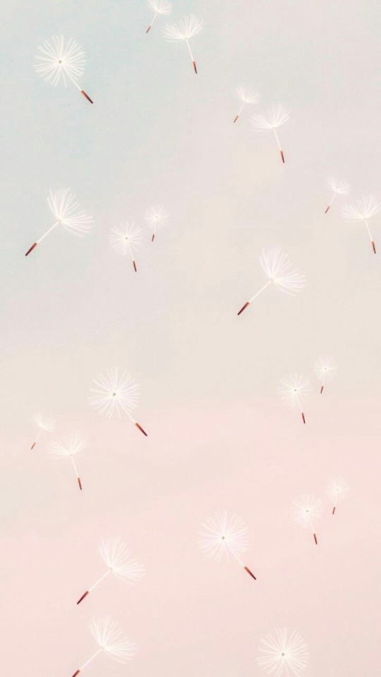 Image - Insect - HD Wallpaper 