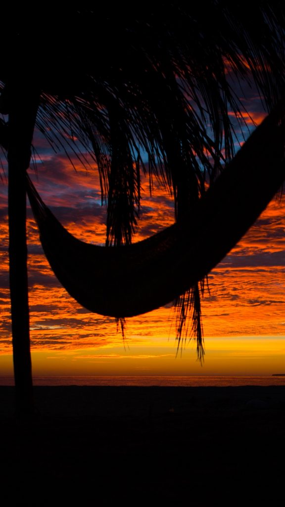 Wallpaper - HD Wallpaper 