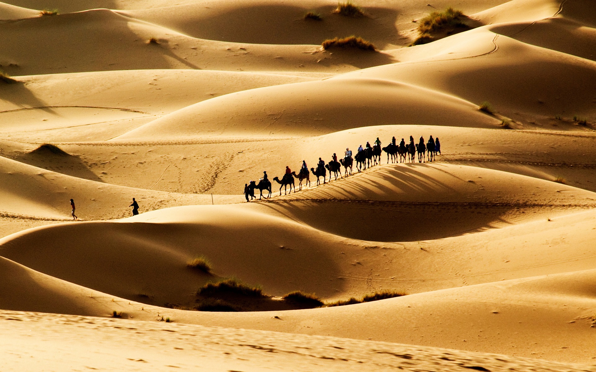 Wallpaper Hot Desert, Sand Dunes, The Caravan - Hot Desert Hd - HD Wallpaper 