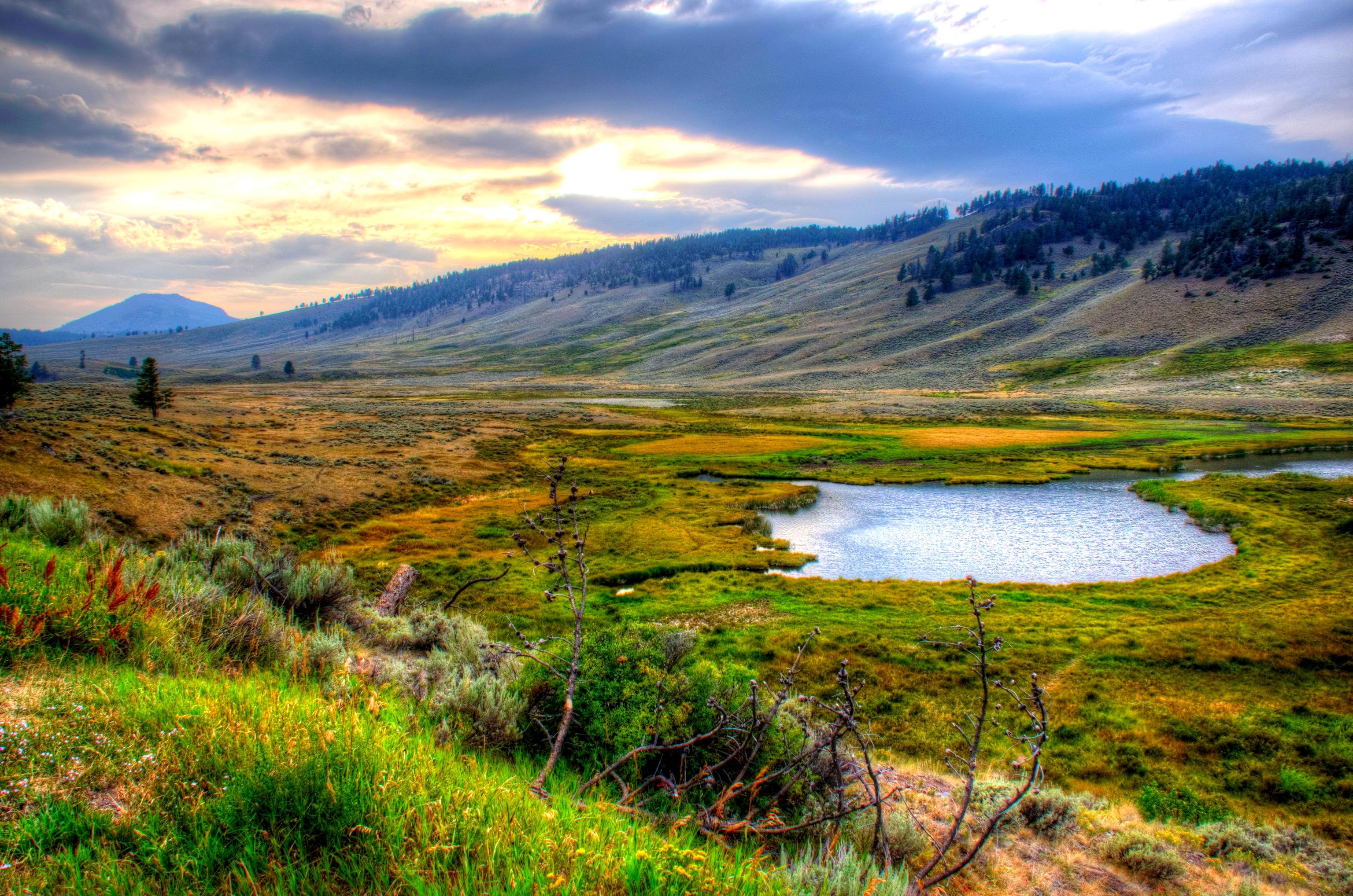 Usa Yellowstone National Park - HD Wallpaper 