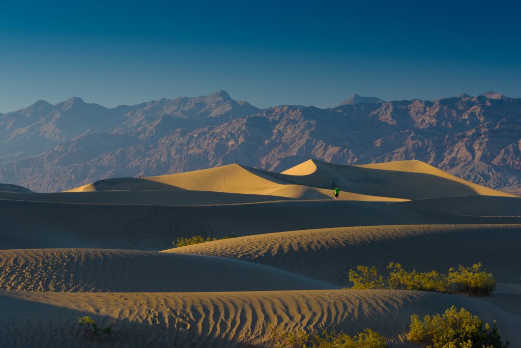 Mesquite Flat Sand Dunes - HD Wallpaper 