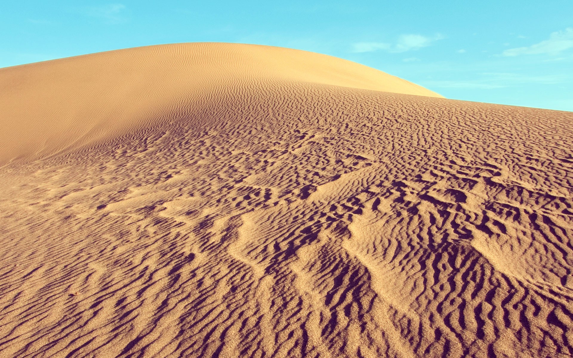 Wallpaper - Hd Quality Picture Of Desert - HD Wallpaper 