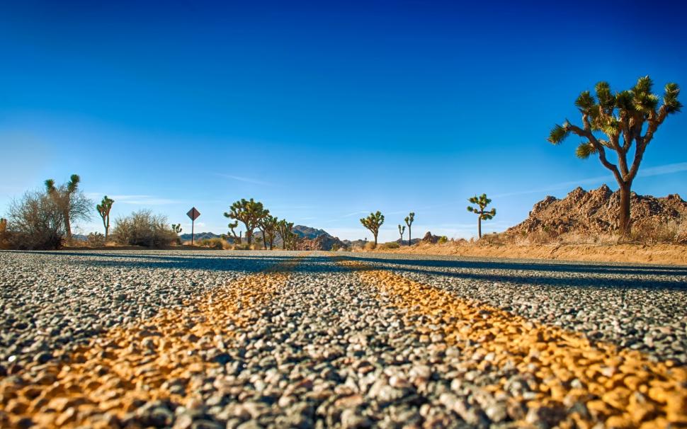 Joshua Tree National Park, California, Usa, Road, Trees, - Joshua Tree National Park - HD Wallpaper 