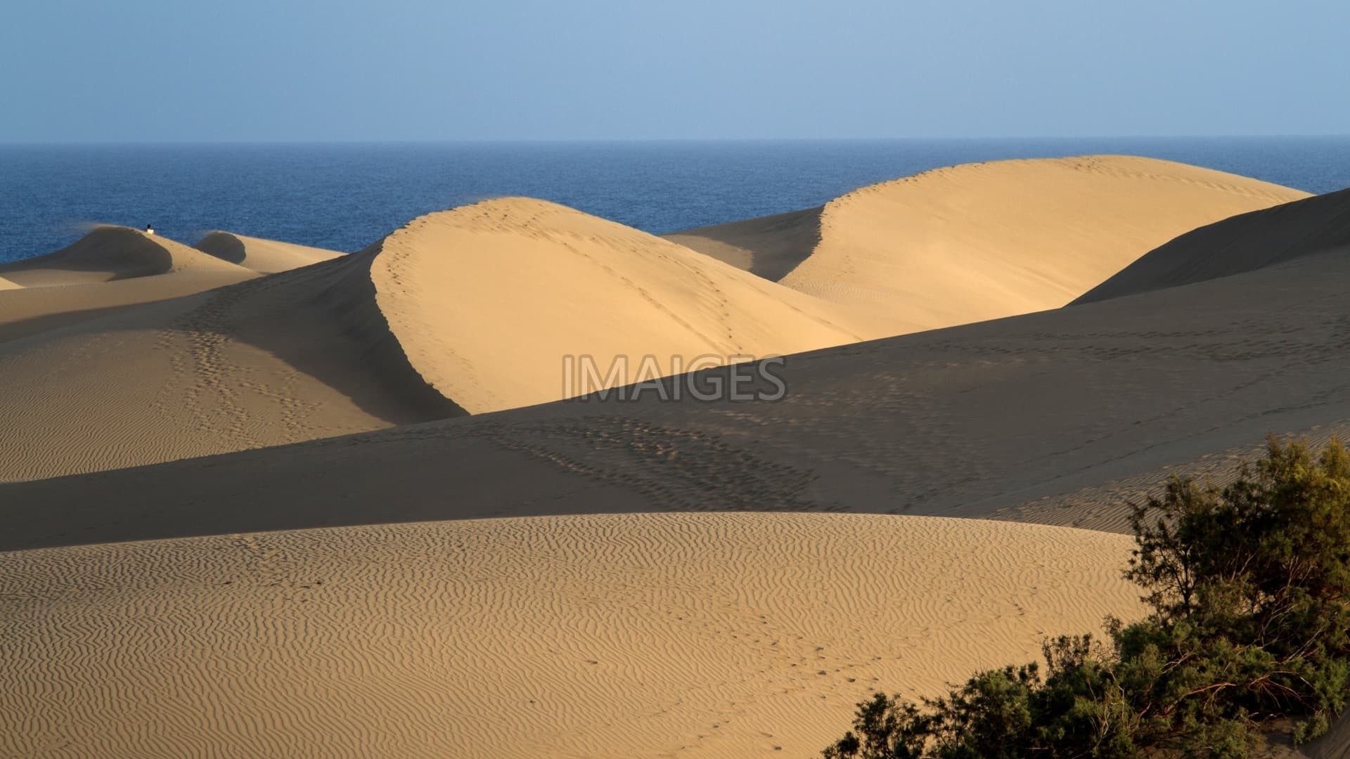 Maspalomas, Dunes, Sand Dunes 
 Data Src Sand Dunes - Erg - HD Wallpaper 