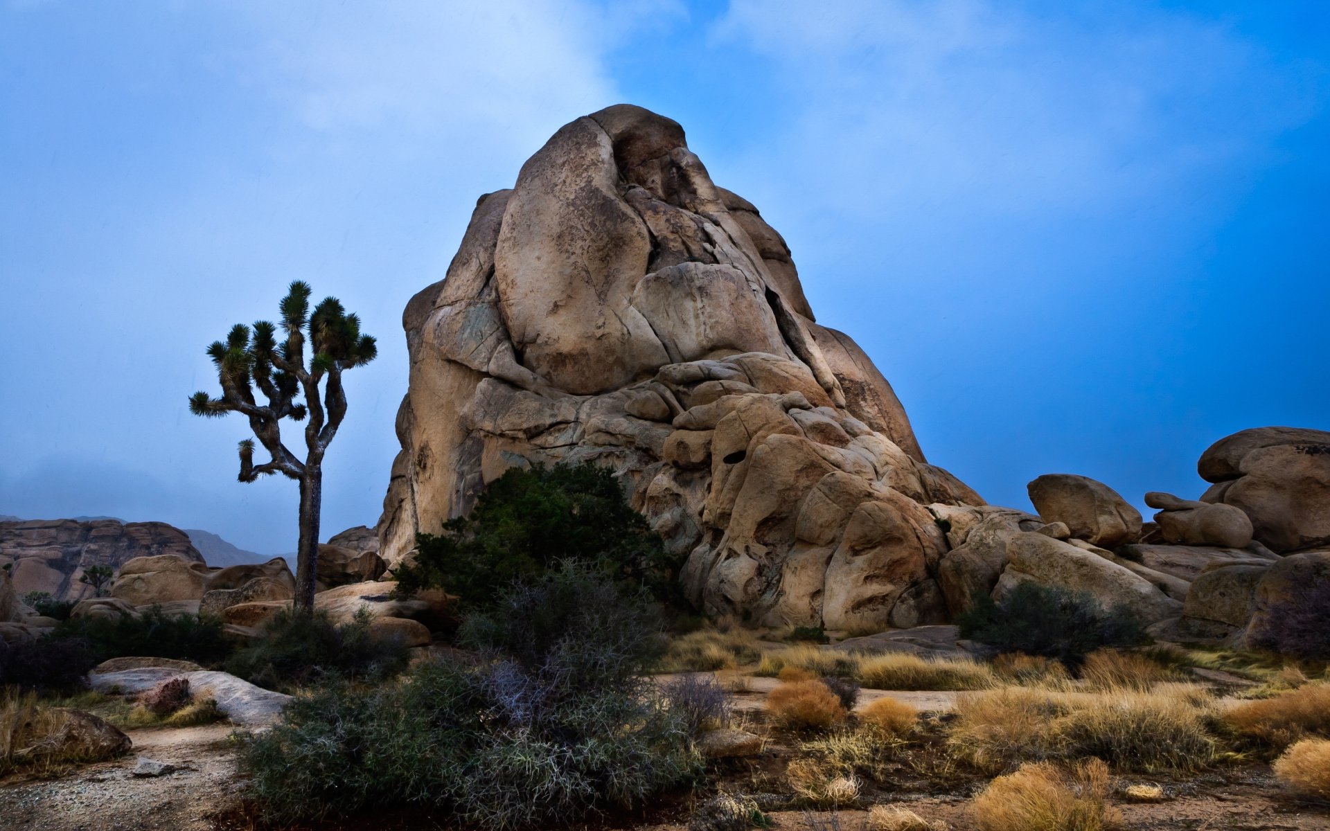 High Resolution Joshua Tree National Park Hd Wallpaper - Joshua Tree National Park - HD Wallpaper 