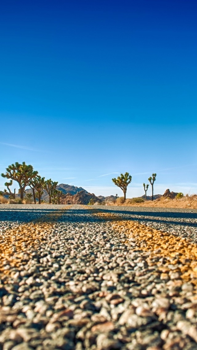 Joshua Park Wallpaper Iphone - HD Wallpaper 