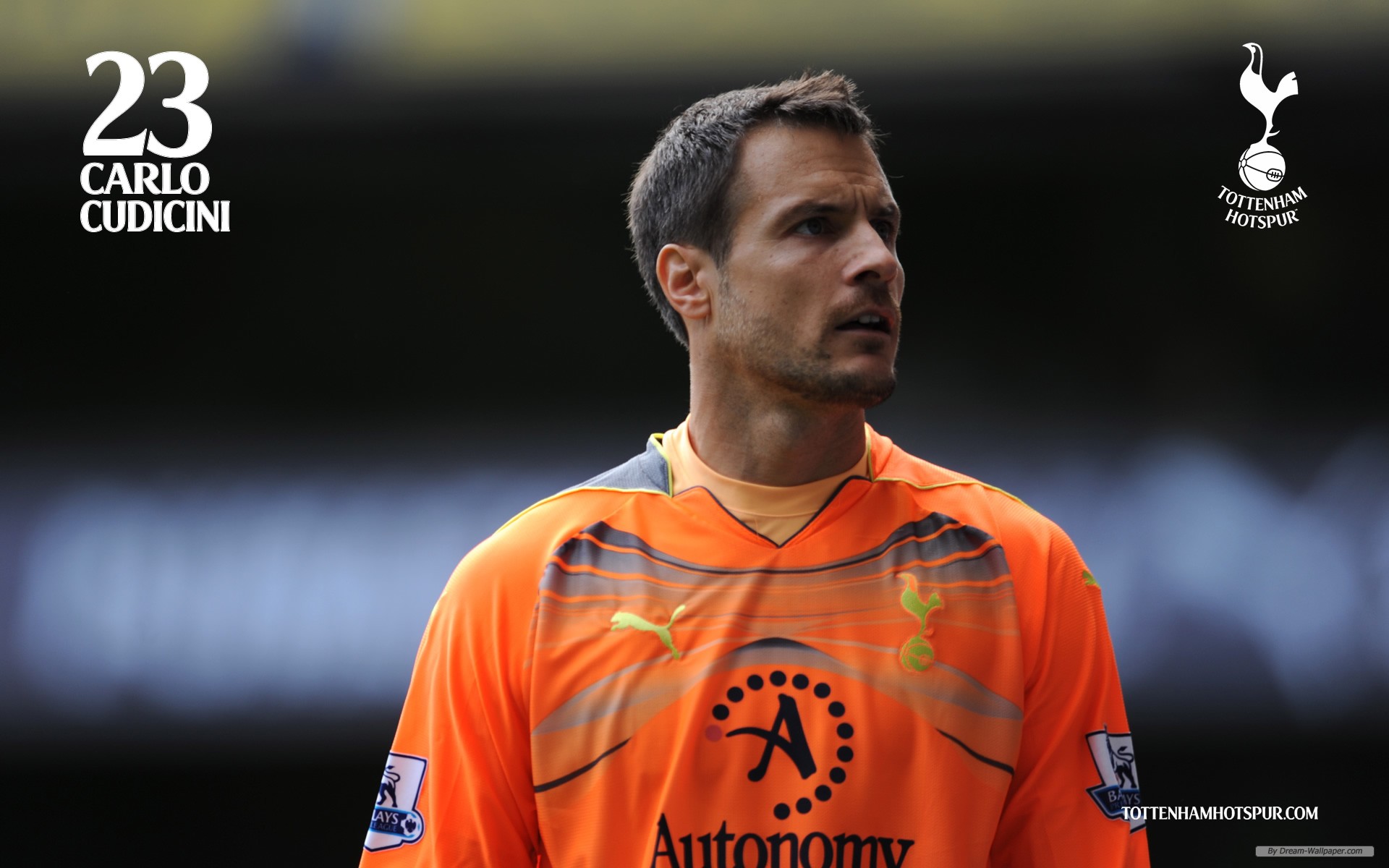 Tottenham Hotspur - HD Wallpaper 