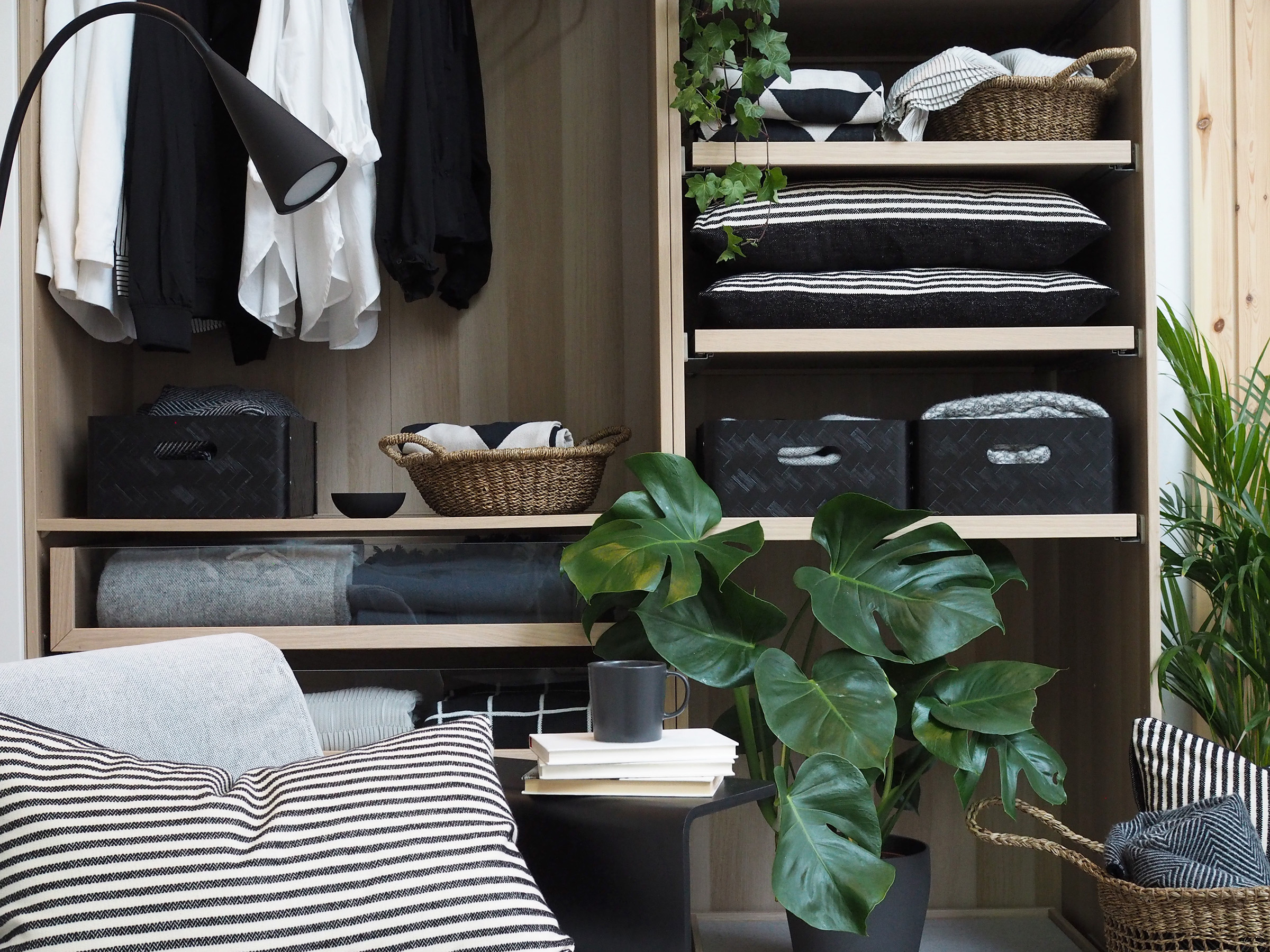 [ad] Methodical Monochrome Interior - Houseplant - HD Wallpaper 