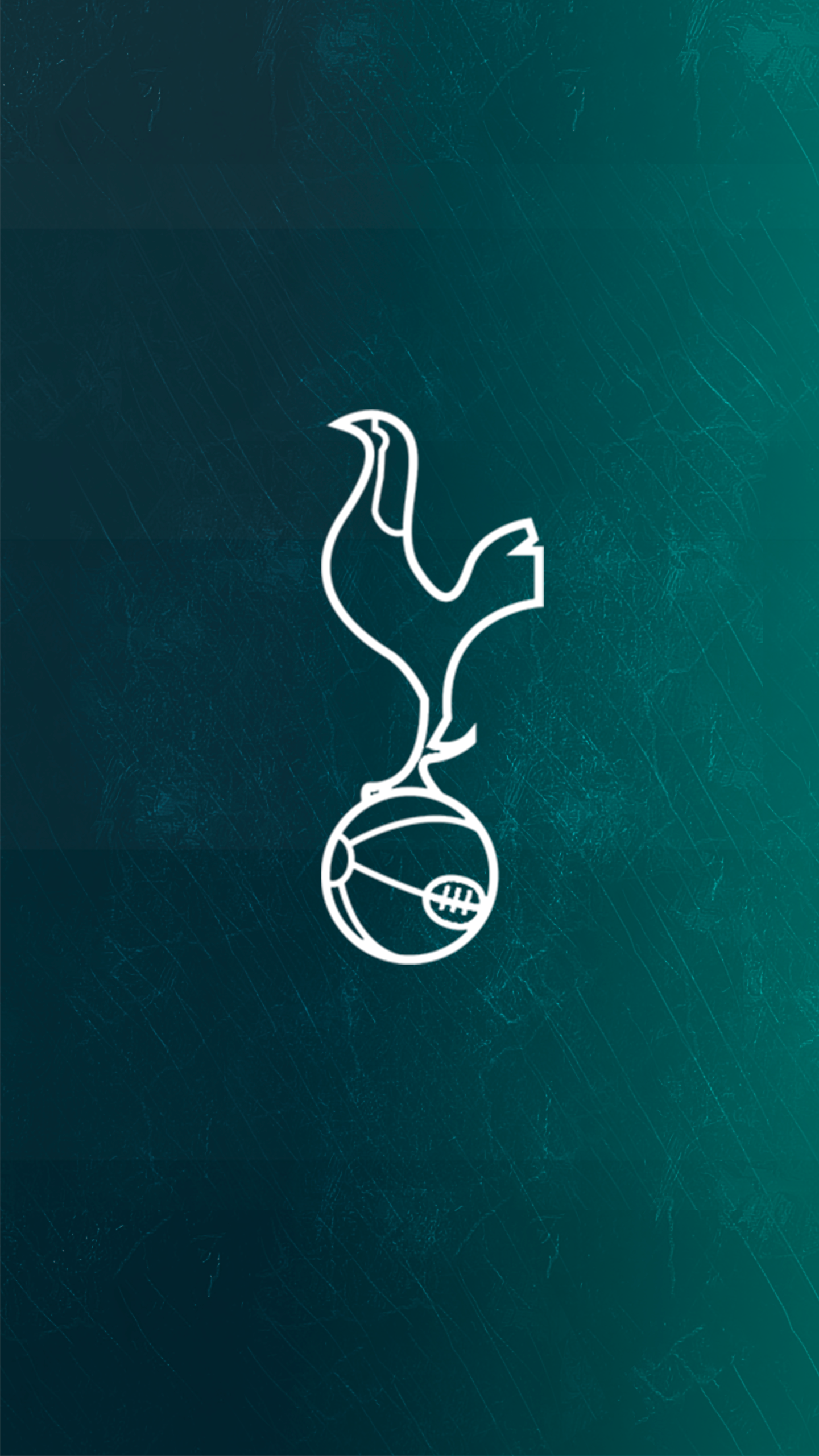 Still Life Photography - HD Wallpaper 