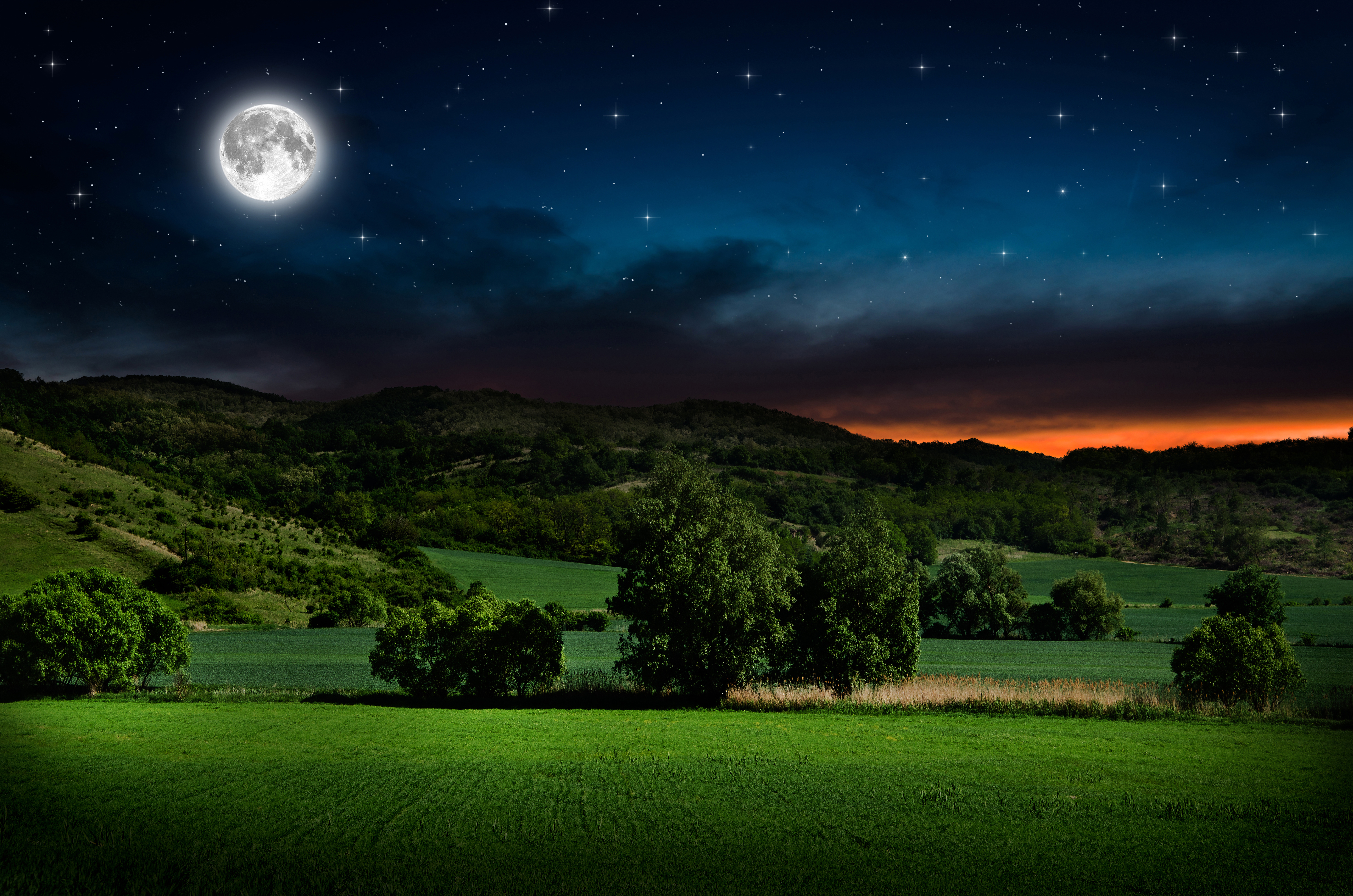 Green Field Night - HD Wallpaper 