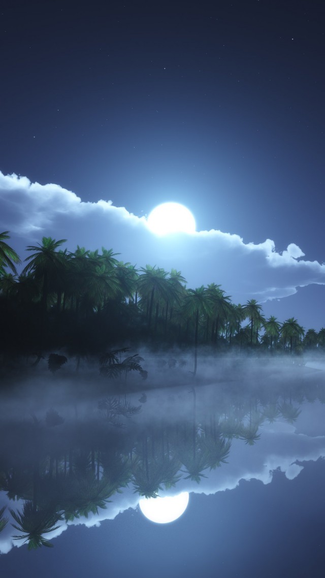 River, 4k, Hd Wallpaper, Sea, Palms, Night, Moon, Clouds - Night Wallpaper Hd Nature - HD Wallpaper 