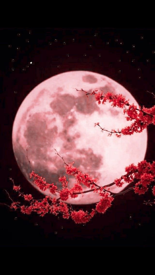 Beautiful Moon Wallpaper - HD Wallpaper 