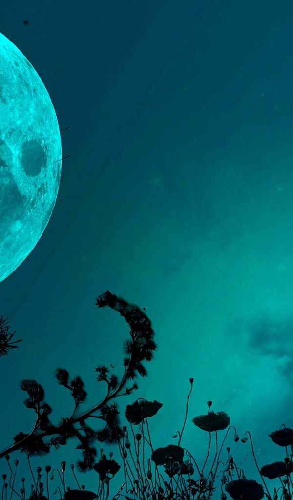 Happy Birthday Blue Moon - HD Wallpaper 