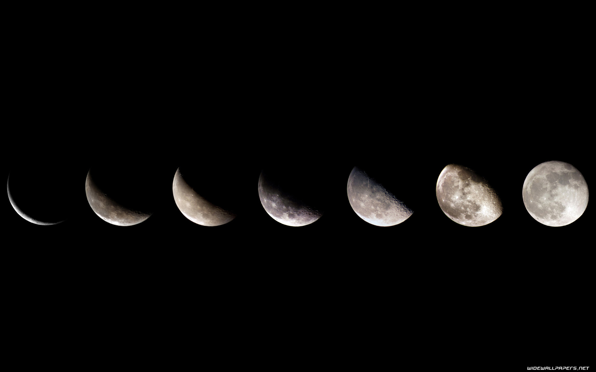 Moon - HD Wallpaper 