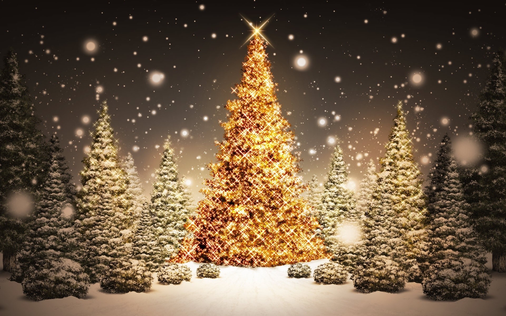 Christmas Snow Wallpapers Mobile - Merry Christmas Images With Trees - HD Wallpaper 