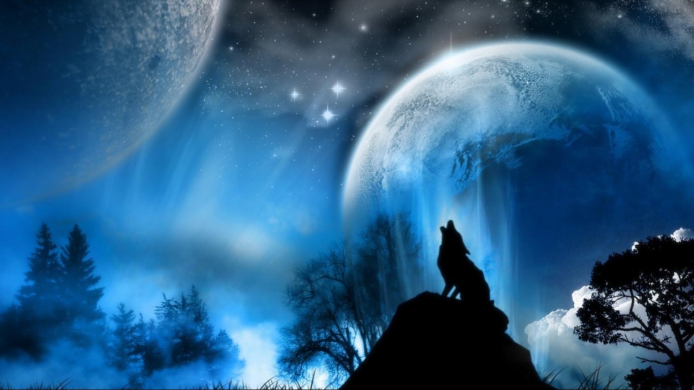 Beautiful Moon Wolf Wallpapers High Resolution - Wolf Desktop - HD Wallpaper 