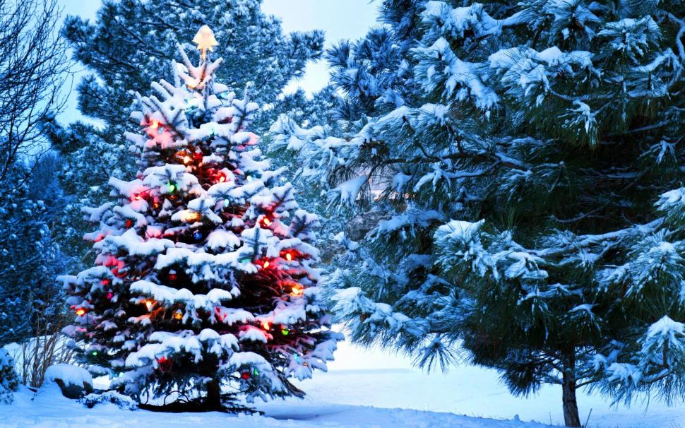 Christmas, Snow, New Year, Tree, Lights Wallpaper,christmas - Christmas Wallpaper 4k - HD Wallpaper 