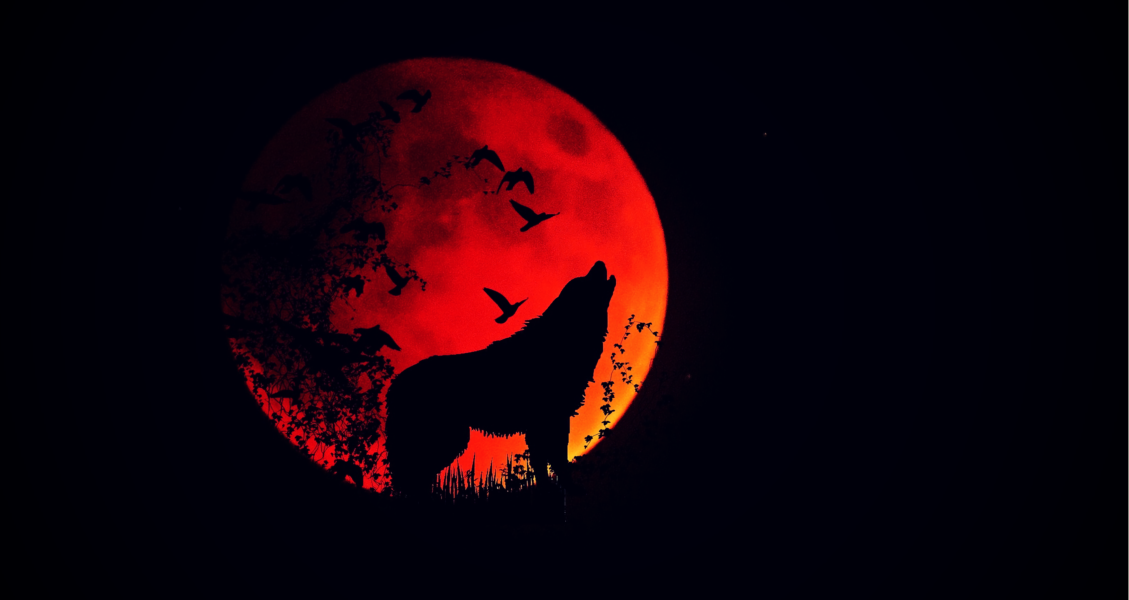 Wolf Silhouette Howling In The Full Moon - HD Wallpaper 