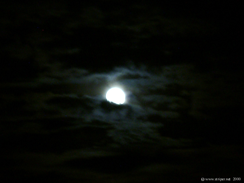 Moon - HD Wallpaper 
