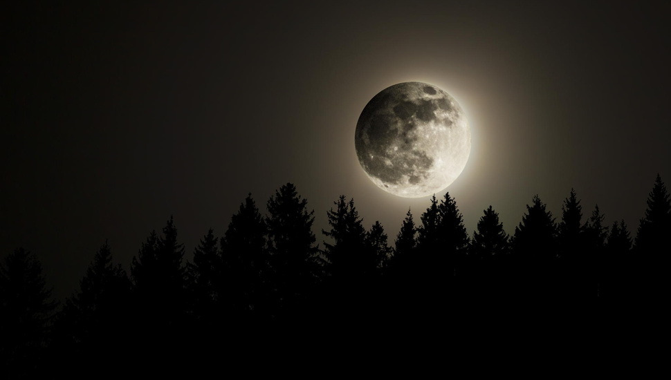 The Sky, The Moon, Night, Forest, Full Moon Desktop - Фото Лес И Луна - HD Wallpaper 