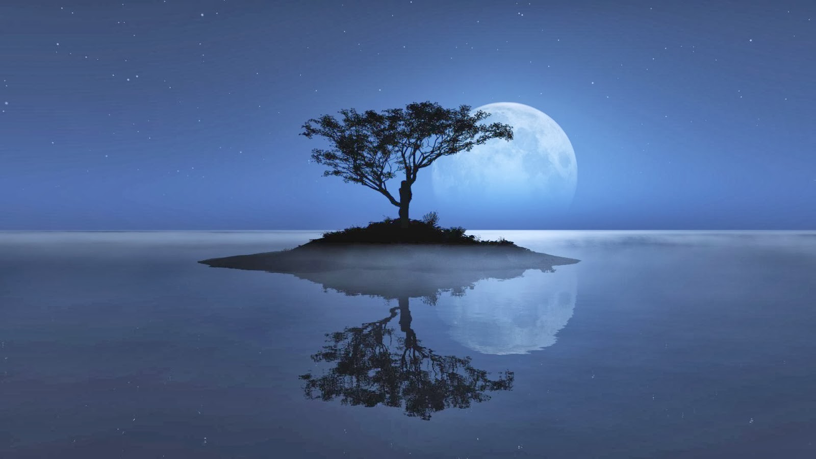 Full Moon Night Nature Wallpaper Iwallhd Wallpaper - Beautiful Scenery With  Thoughts - 1600x900 Wallpaper 