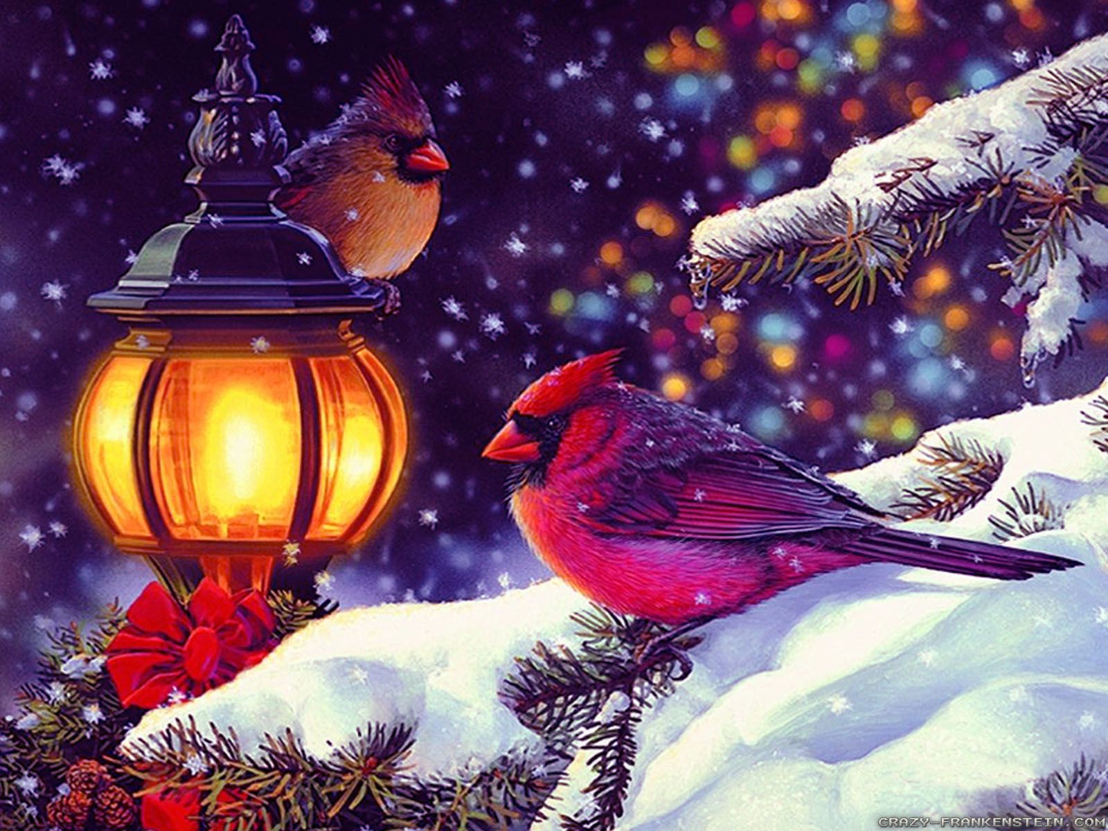 Christmas Snow Scenes Wallpaper-679e6vv - Hd Wallpapers Winter Scenes - HD Wallpaper 