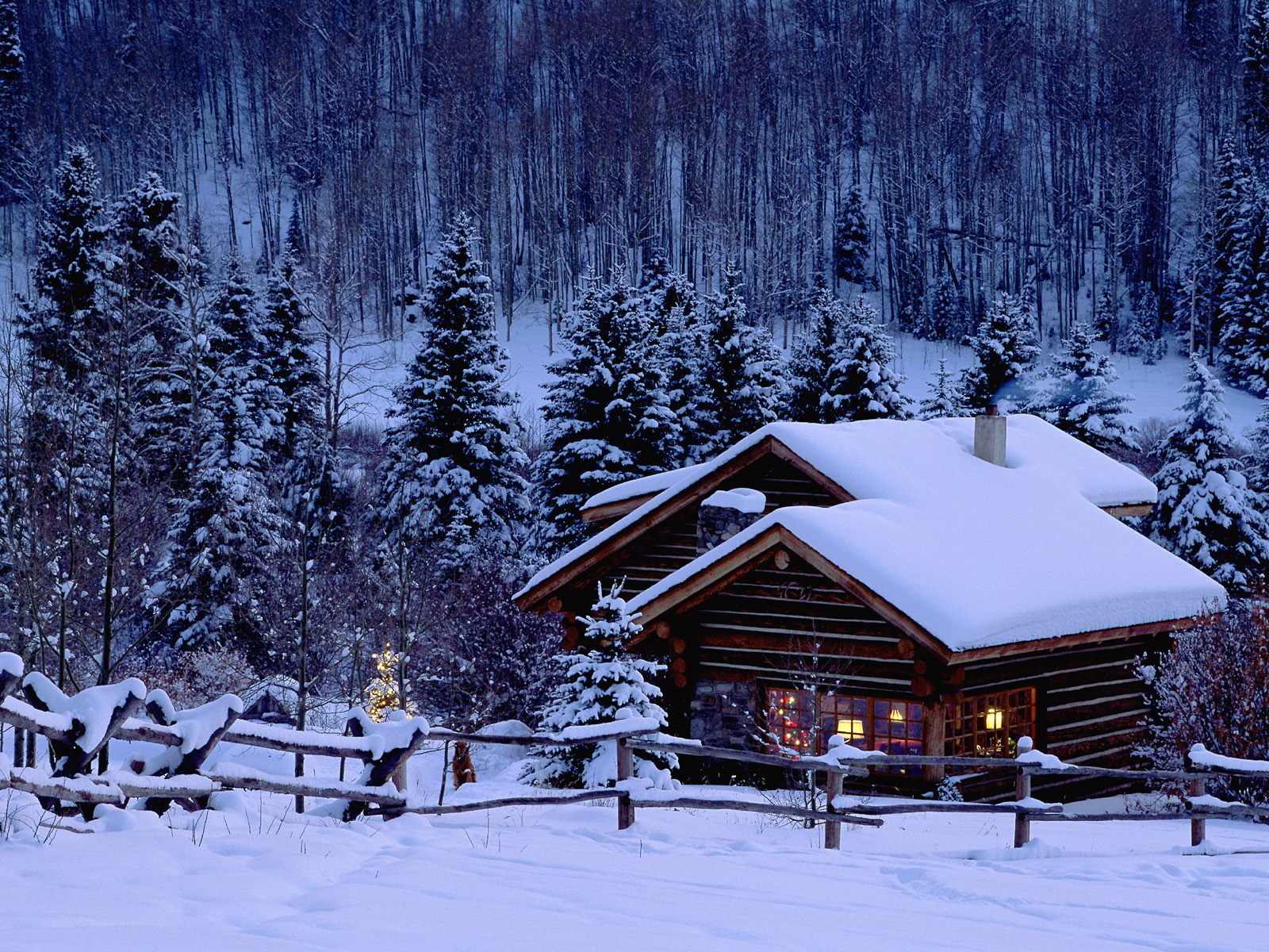 1600*1200 Winter Wonderland - Winter Nature - HD Wallpaper 