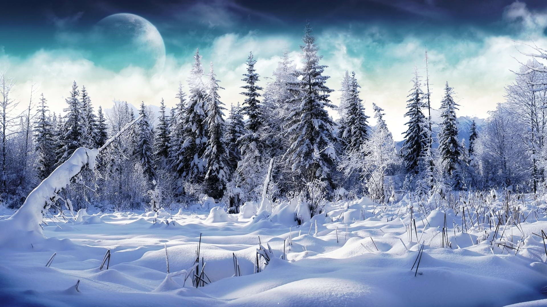 Hd Winter - HD Wallpaper 